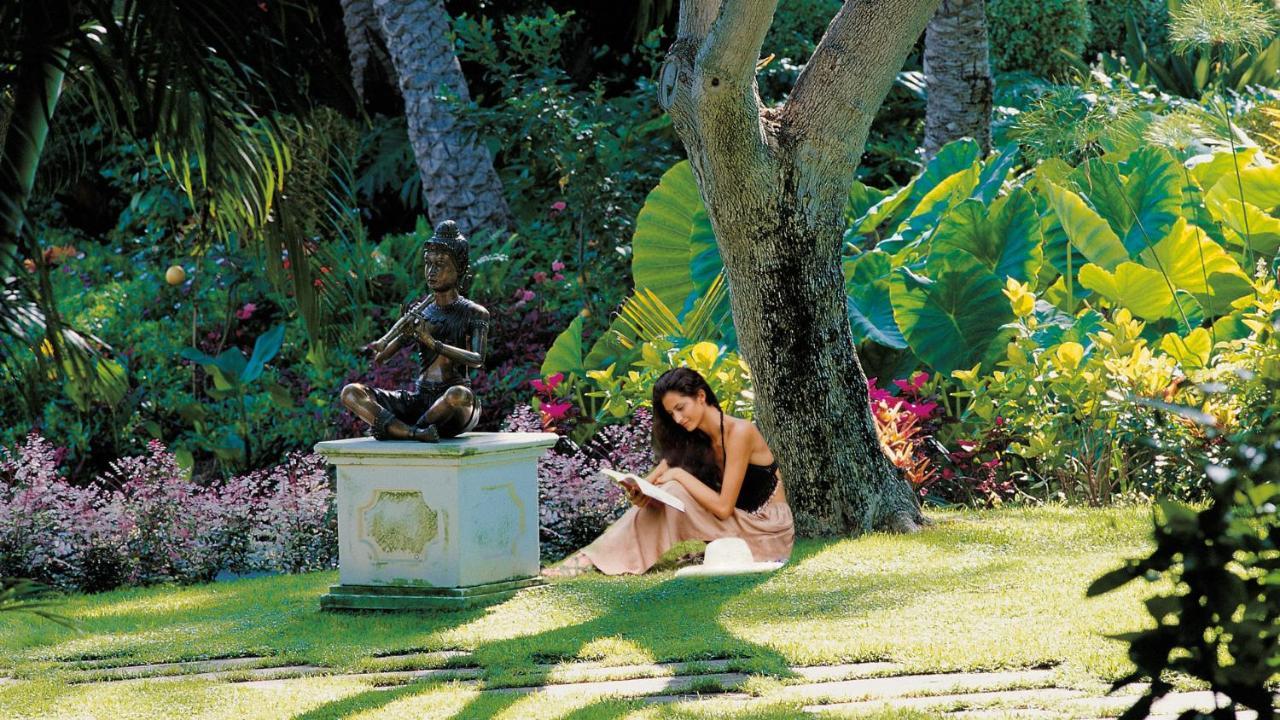 Hotel Botanico Y Oriental Spa Garden Πουέρτο Ντε Λα Κρουζ Εξωτερικό φωτογραφία A student studying in the gardens